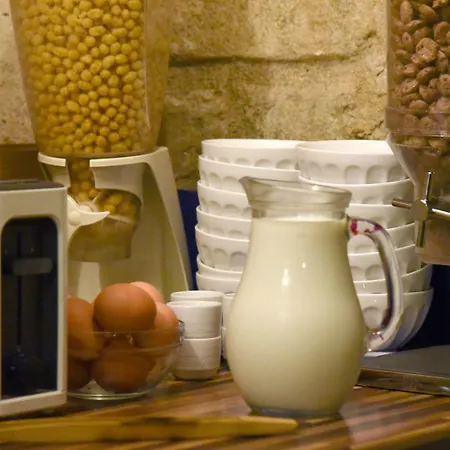 뉴 가르 뒤 노르